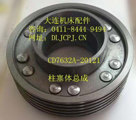 上海CD7632A 柱塞体总成